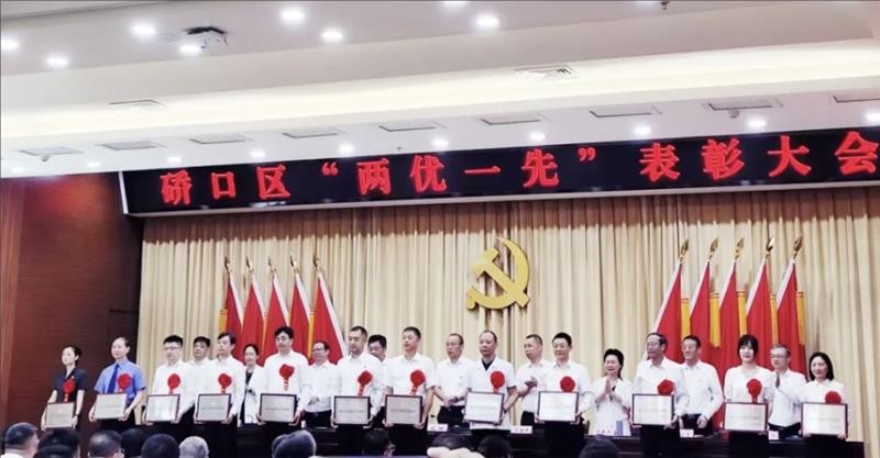 德发党建与业务双轮驱动，2024再获先进荣誉激励前行
